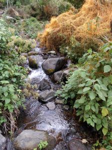 These lovely streams provide a source of running water for the community to use in their homes.